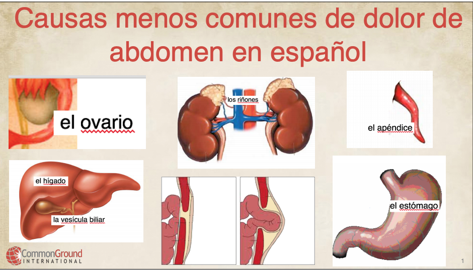 Less common causes of abdominal pain in Spanish