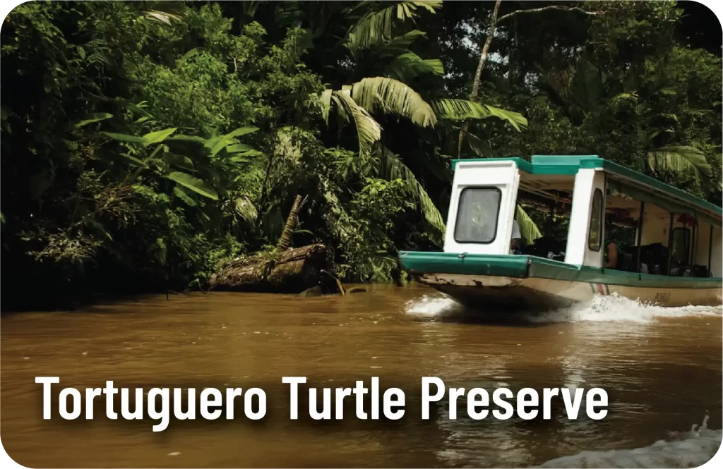 Tortuguero Turtle Preserve
